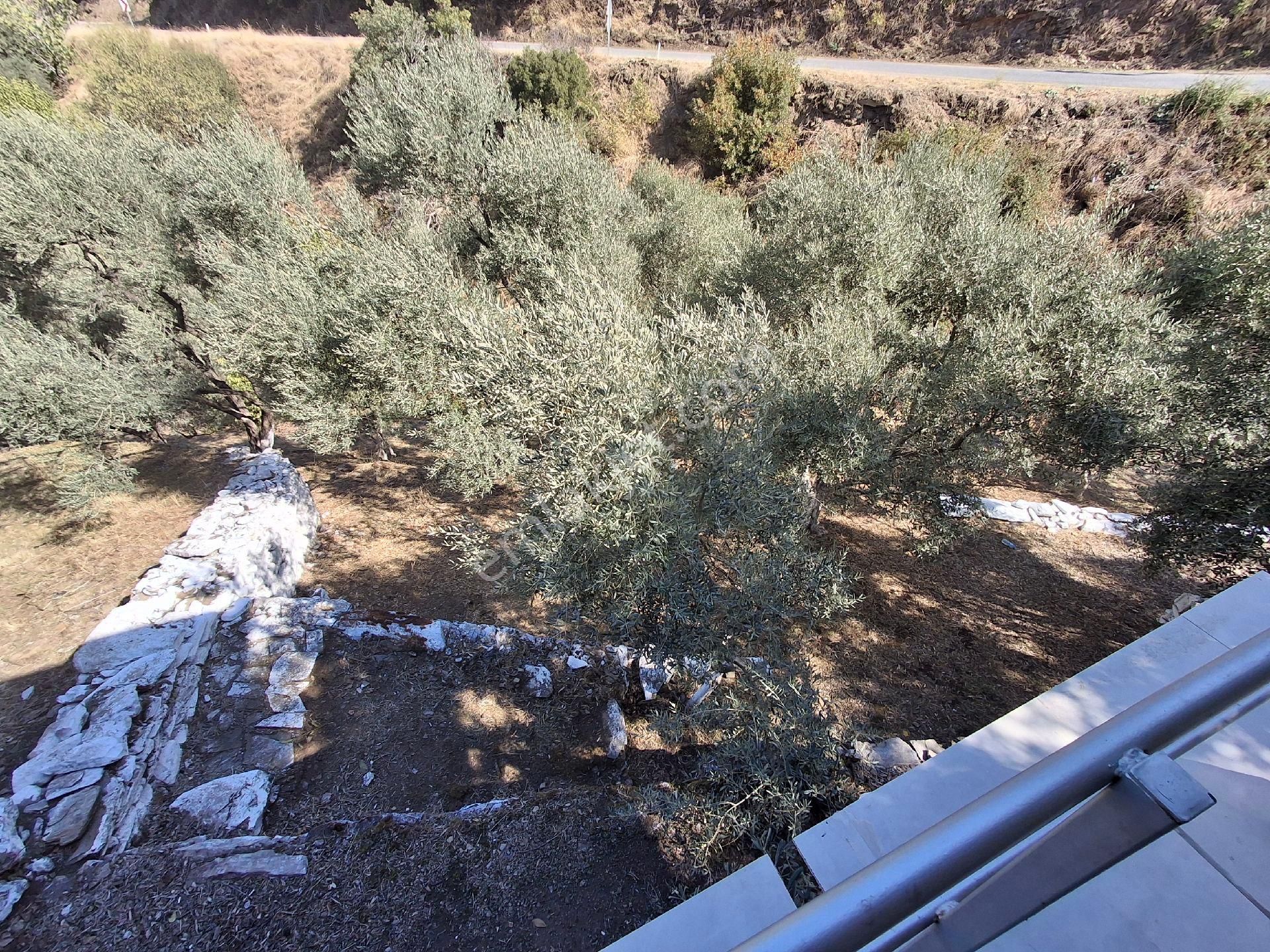 Akar Emlak Ofisinden Tire Manzaralı, Ho - Görsel 11