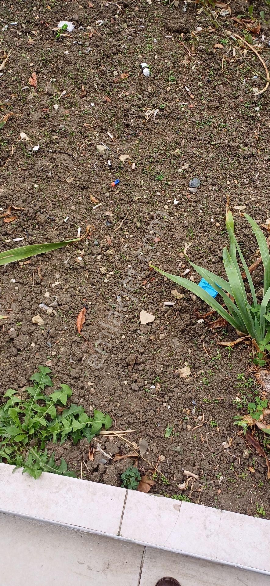 Silivri Gümüşyakada Satılık.imarlı Arsa