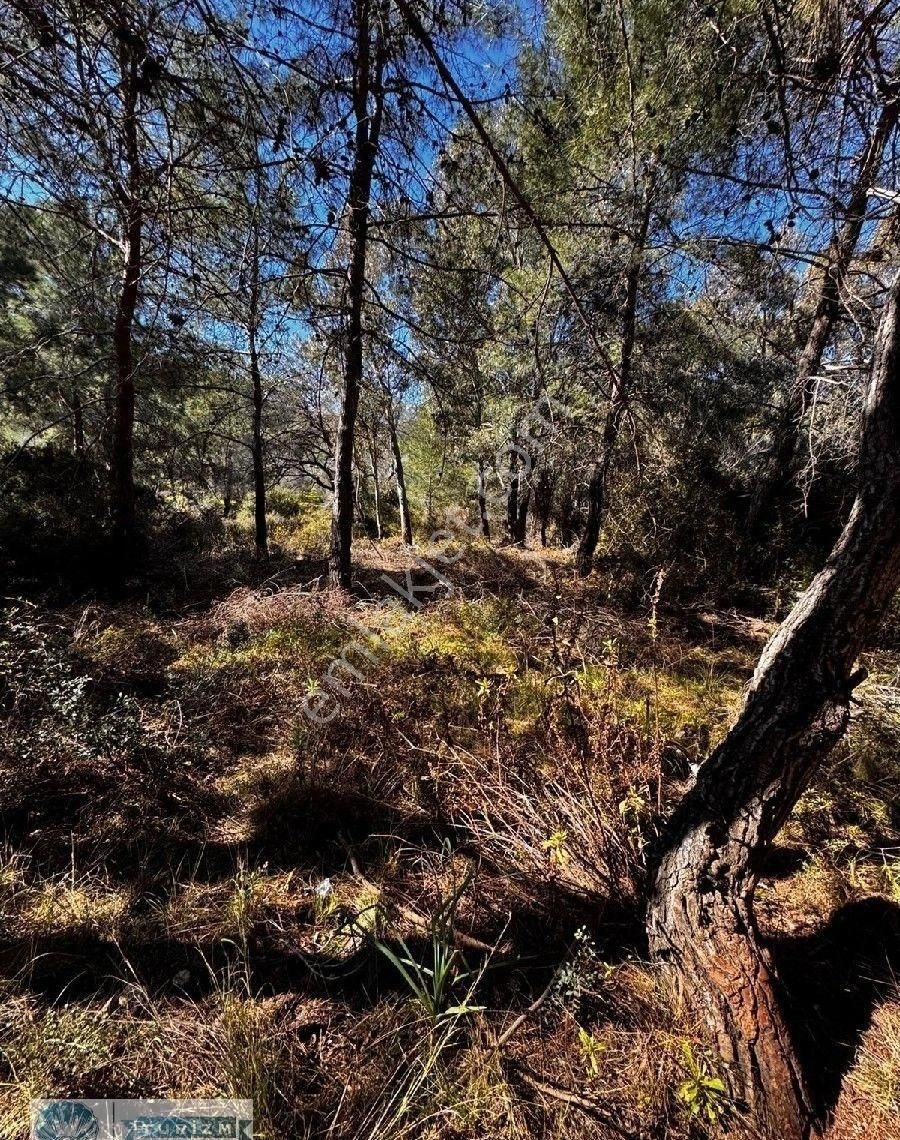 Kaş Gelemiş Acil Satılık 2b Tarla... - Görsel 5