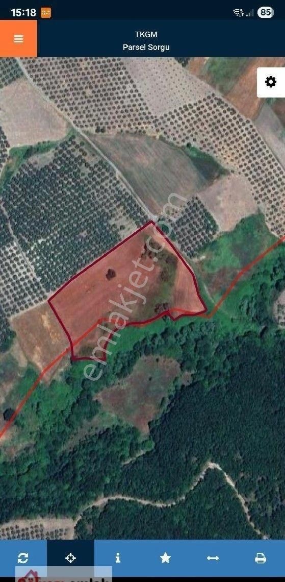 Bursa Mudanya Yaliciftlikte 16.576 Metre Yer İçinde Satılık 4.150 Metre Hisse 1 Milyon 400 Bin