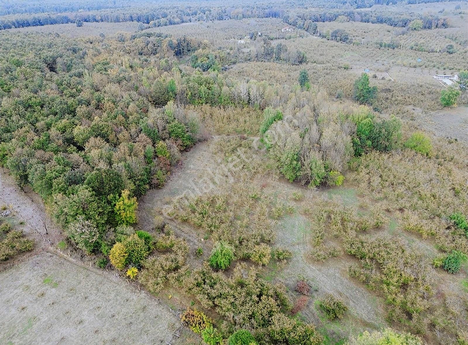 Liva Realty'den Sarıyer Mahallesinde Yatırımlık Fındık Bahçesi - Görsel 4