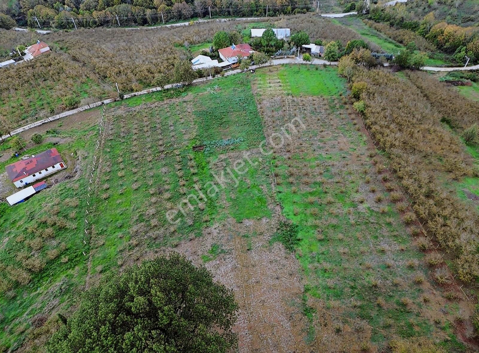 Liva Realty'den Çobanyatakta Yaşam Ve Yatırım Fırsatı - Görsel 4