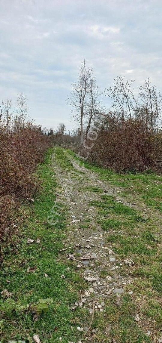 Samsun Çarşamba Güzpınar Da 63.300 M2 Depolama Alanı.. - Görsel 4