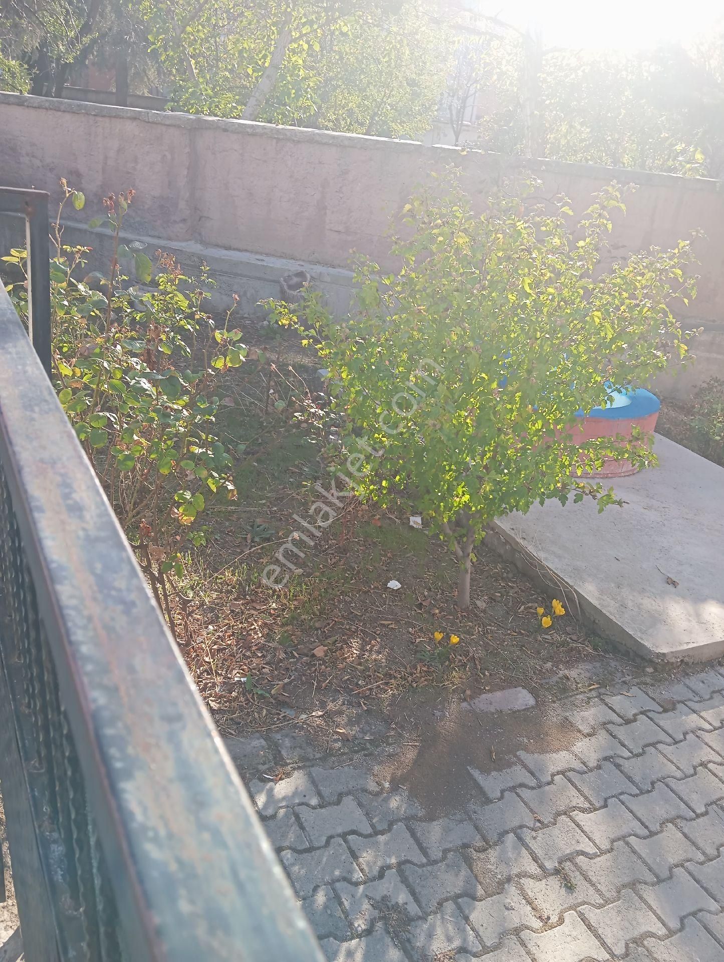 Murat Emlaktan Satılık M - Görsel 6