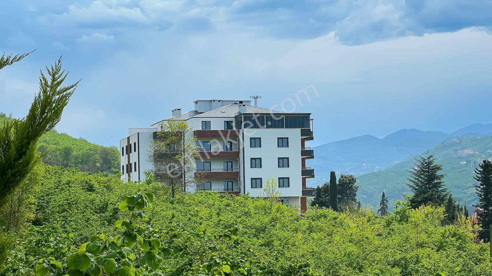 Trabzon Bostancı'da Kiralık 1+1 Eşyalı Daire (haziran Çıkışlı) - Görsel 5