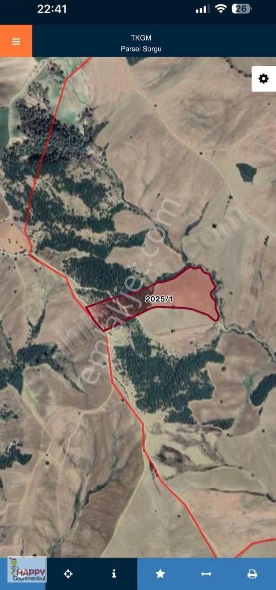 Kizilkas Köy Mer 1 Km Yol Kenar En Ucuz Tarla 1 Dnm İla 31 Donum - Görsel 2