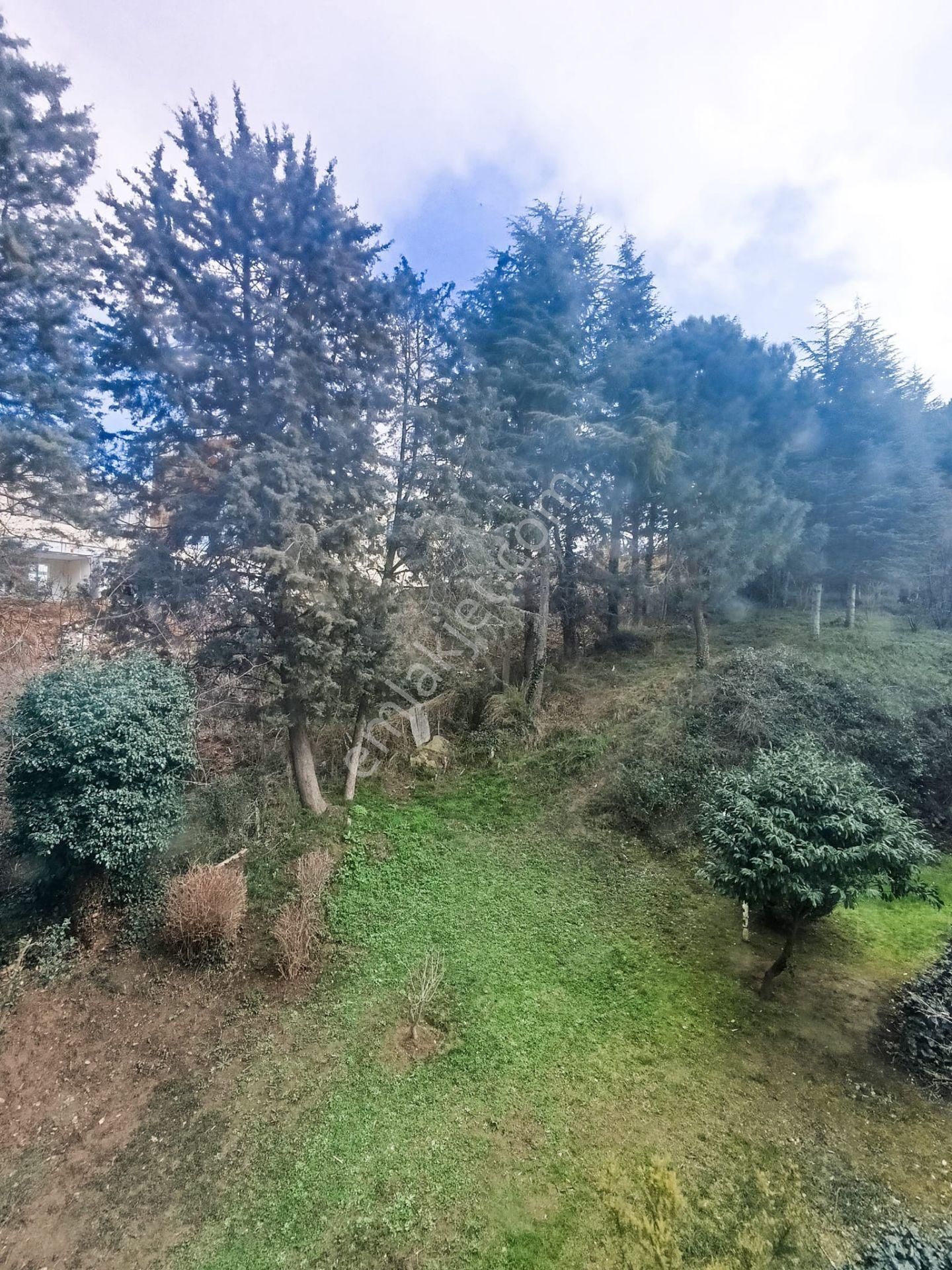 Beykoz Çubuklu Da Sitede120 M 3+1 Temiz Daire - Görsel 29