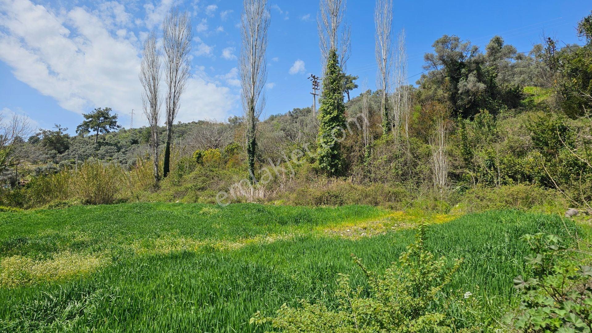 Denize Yakın Doğa İçinde Dere Kenarı Yaşam Konsepti Oluşturacak Arsa - Görsel 8
