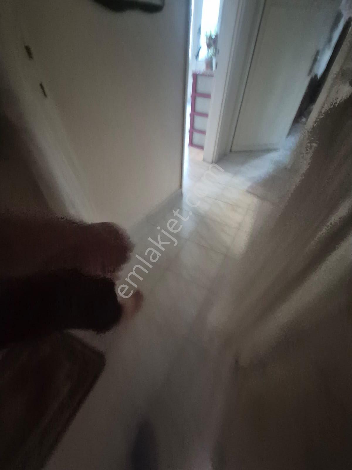 Yuregir Serinevler Mah 2.5 Katli Mustakil Satlik - Görsel 9