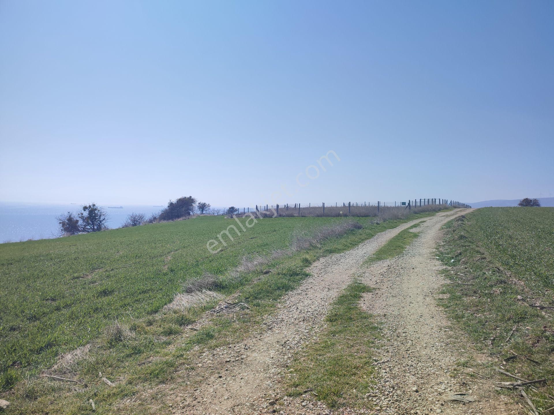 Bulut Yatırımdan 250 M² % 35 İmarlı Deniz Manzaralı Arsa - Görsel 27