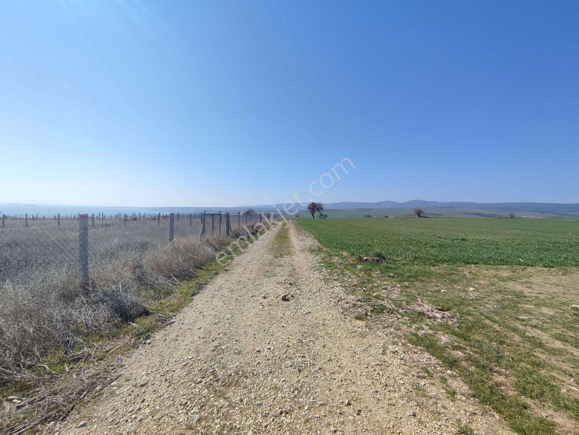 Bulut Yatırımdan 250 M² % 35 İmarlı Deniz Manzaralı Arsa - Görsel 25