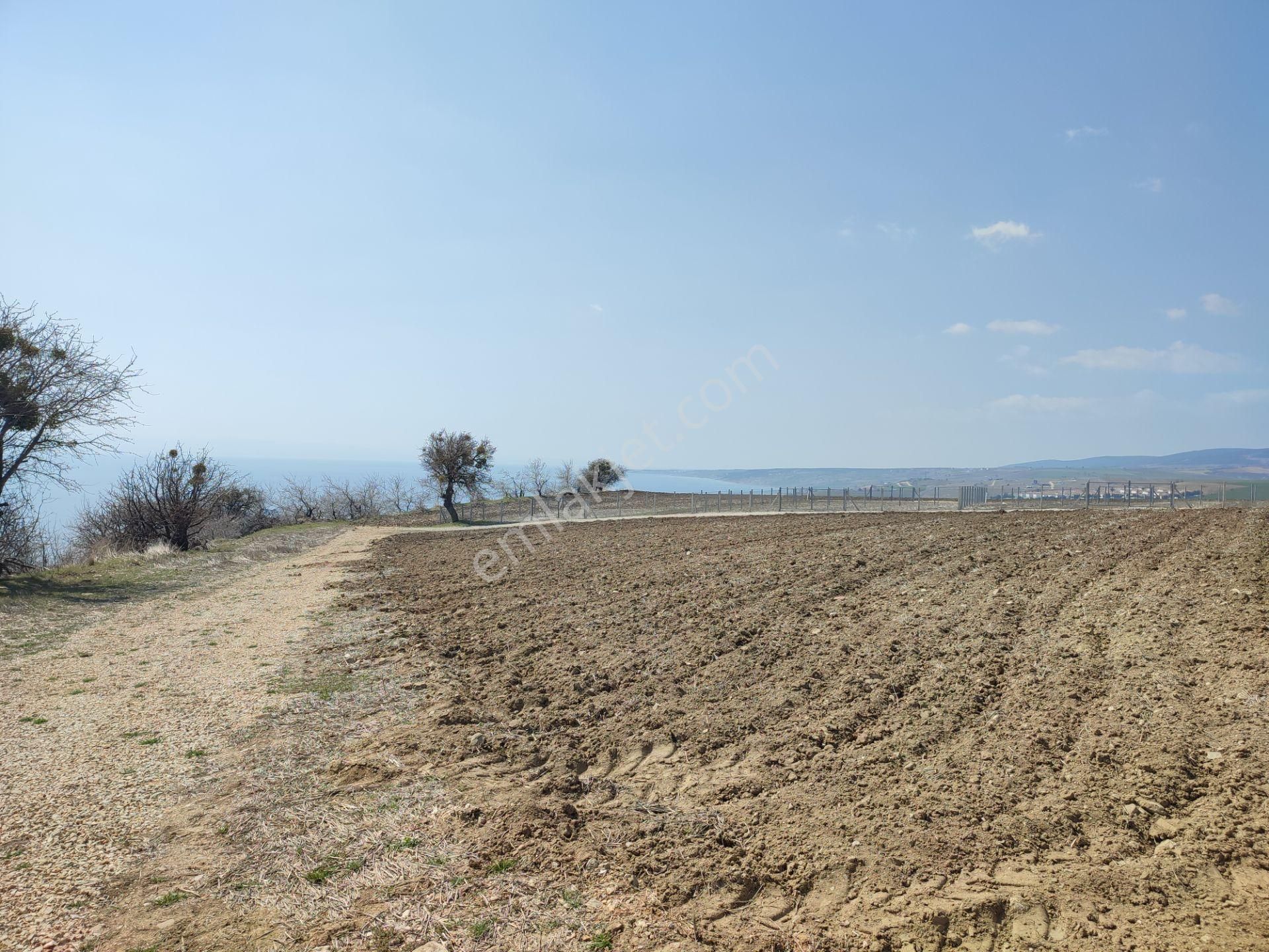 Bulut Yatırımdan 250 M² % 35 İmarlı Deniz Manzaralı Arsa - Görsel 12