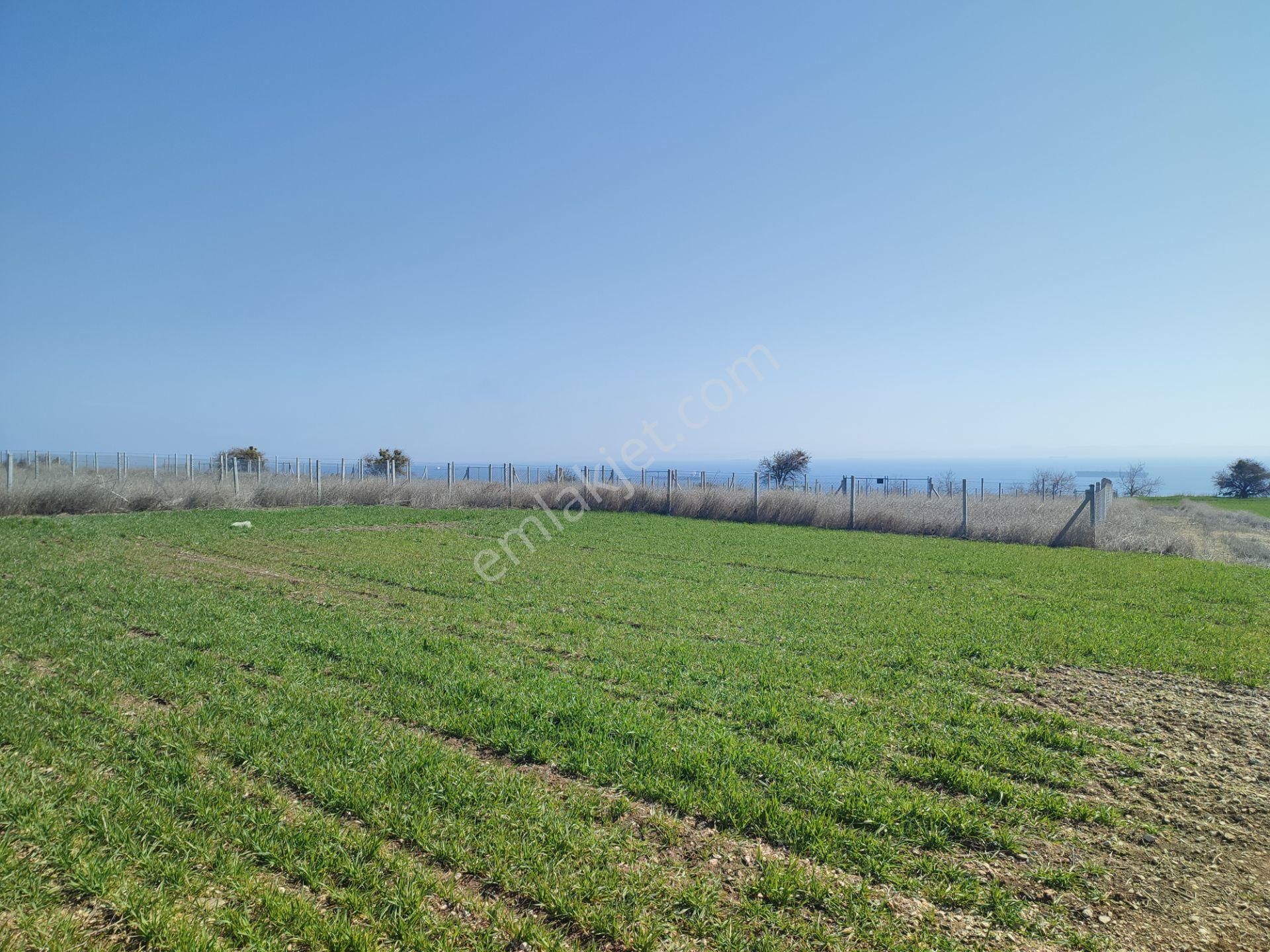 Bulut Yatırımdan 250 M² % 35 İmarlı Deniz Manzaralı Arsa - Görsel 16