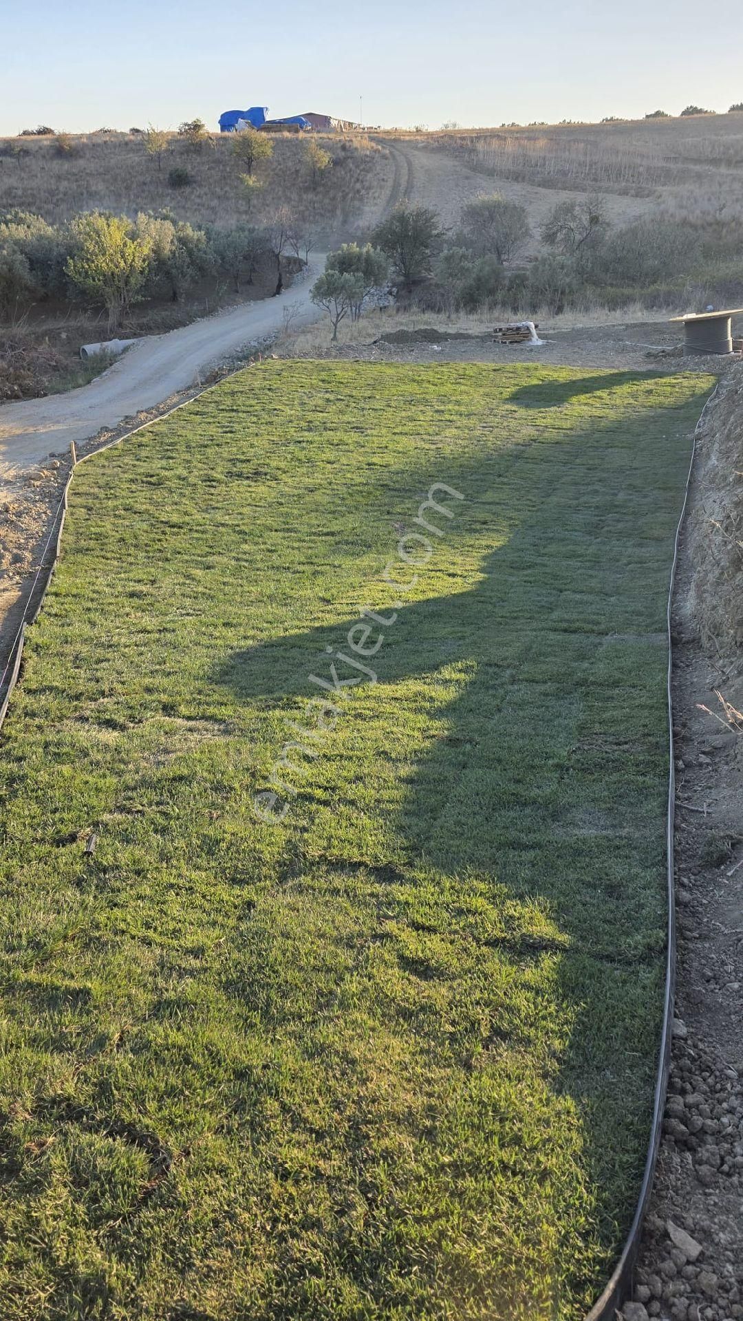 Şarköy Yaşam Alanı - Görsel 14