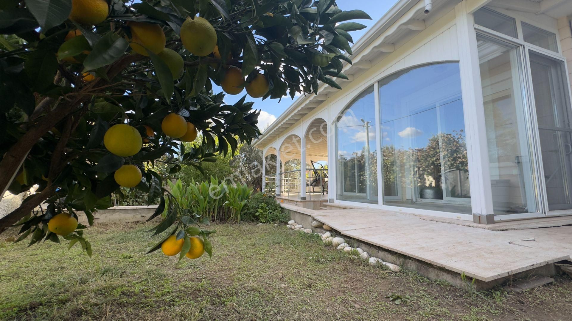 Güre'de Oksijeni Bol Zeytinlik Alan İçerisinde, Kazdağlarının Eteğinde Havuzlu Lüks Villa - Görsel 54