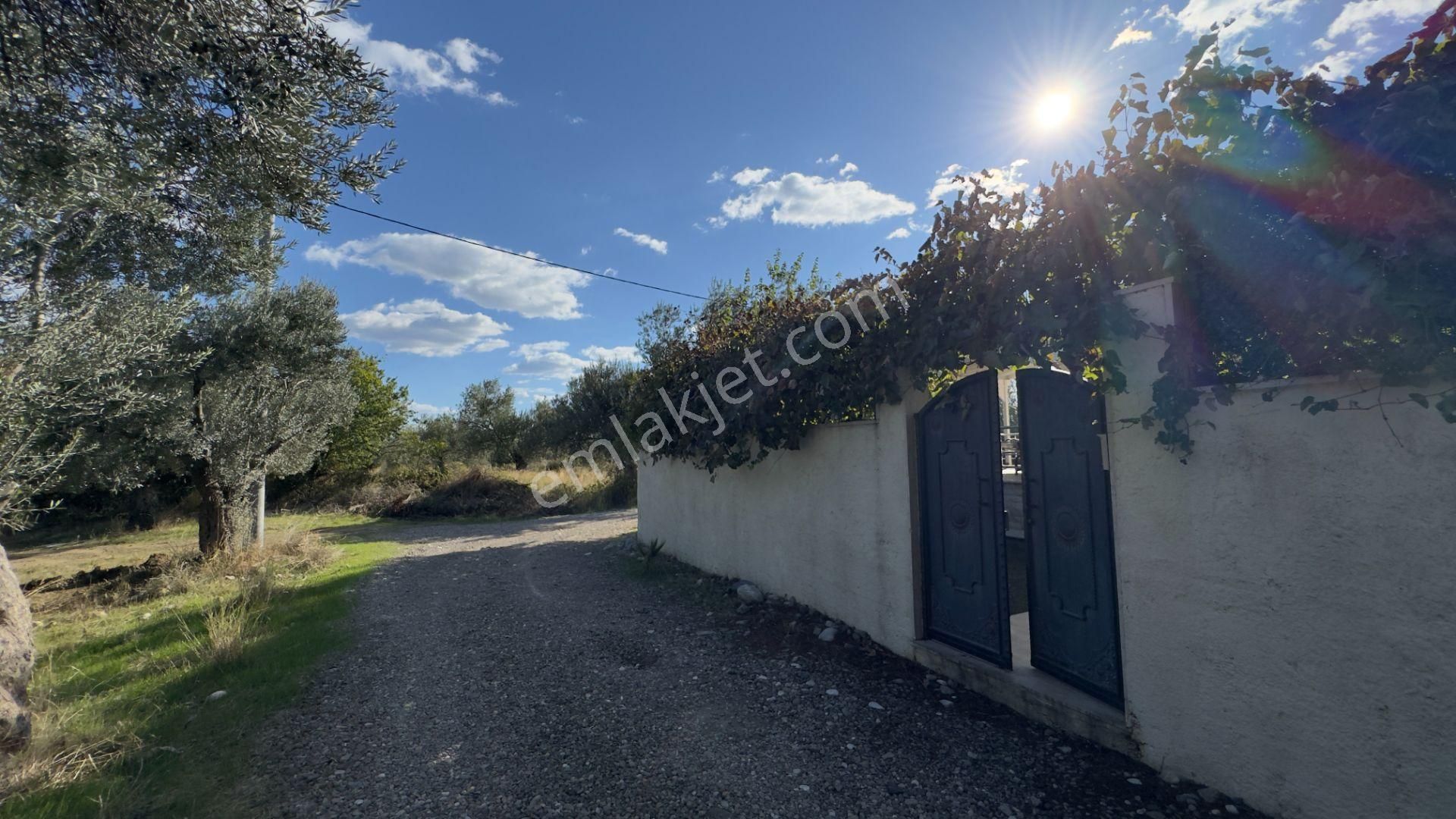 Güre'de Oksijeni Bol Zeytinlik Alan İçerisinde, Kazdağlarının Eteğinde Havuzlu Lüks Villa - Görsel 17