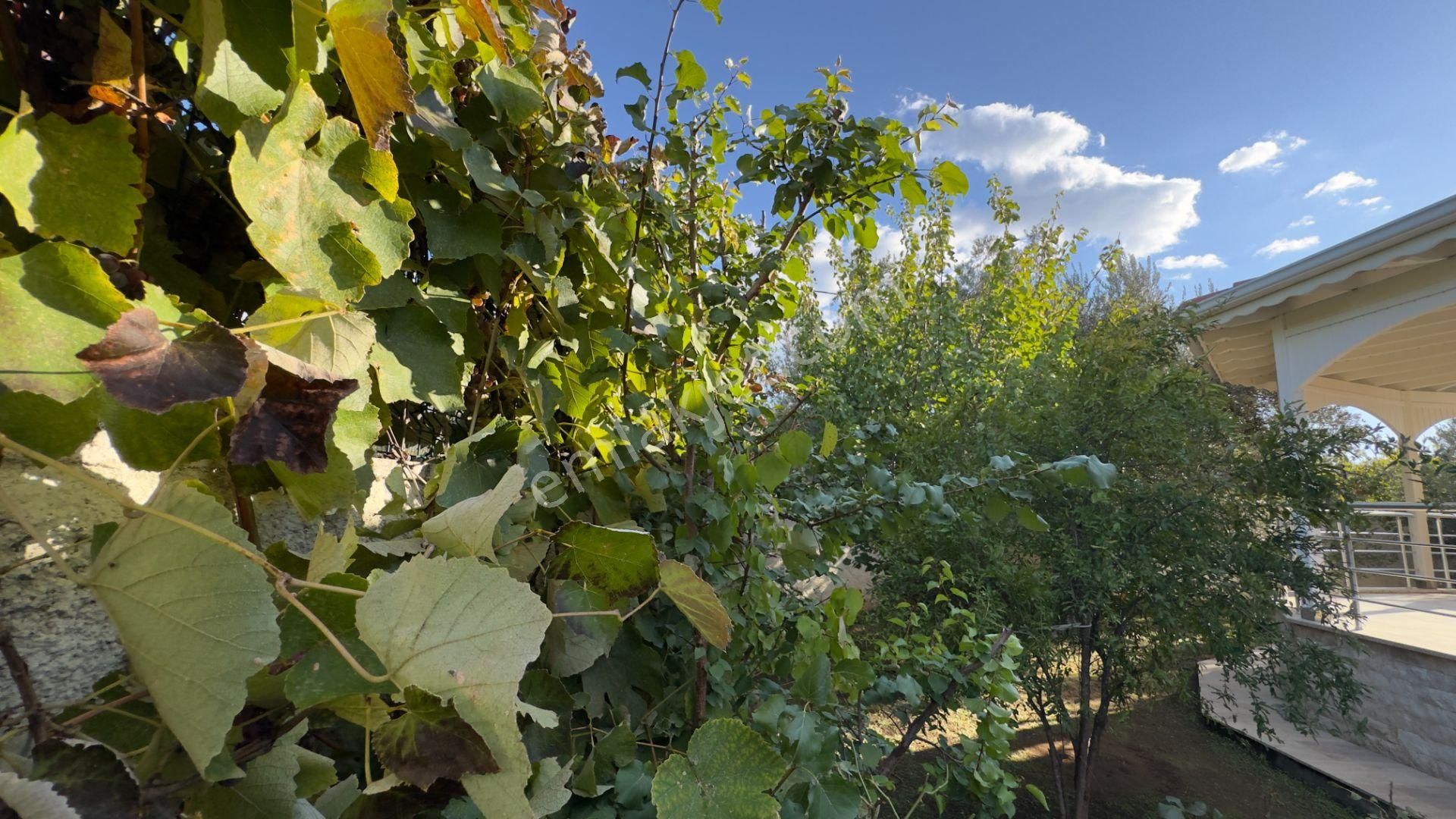 Güre'de Oksijeni Bol Zeytinlik Alan İçerisinde, Kazdağlarının Eteğinde Havuzlu Lüks Villa - Görsel 68