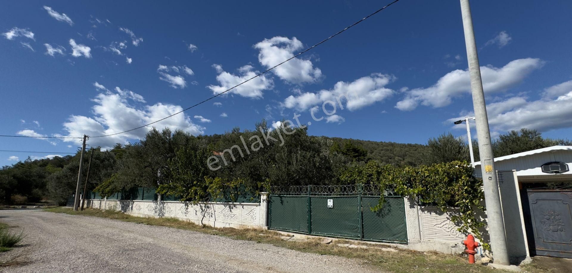 Güre'de Oksijeni Bol Zeytinlik Alan İçerisinde, Kazdağlarının Eteğinde Havuzlu Lüks Villa - Görsel 8