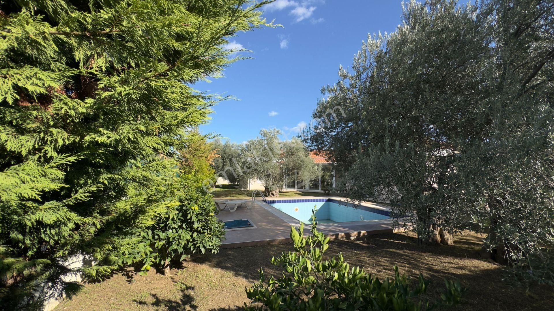 Güre'de Oksijeni Bol Zeytinlik Alan İçerisinde, Kazdağlarının Eteğinde Havuzlu Lüks Villa - Görsel 36