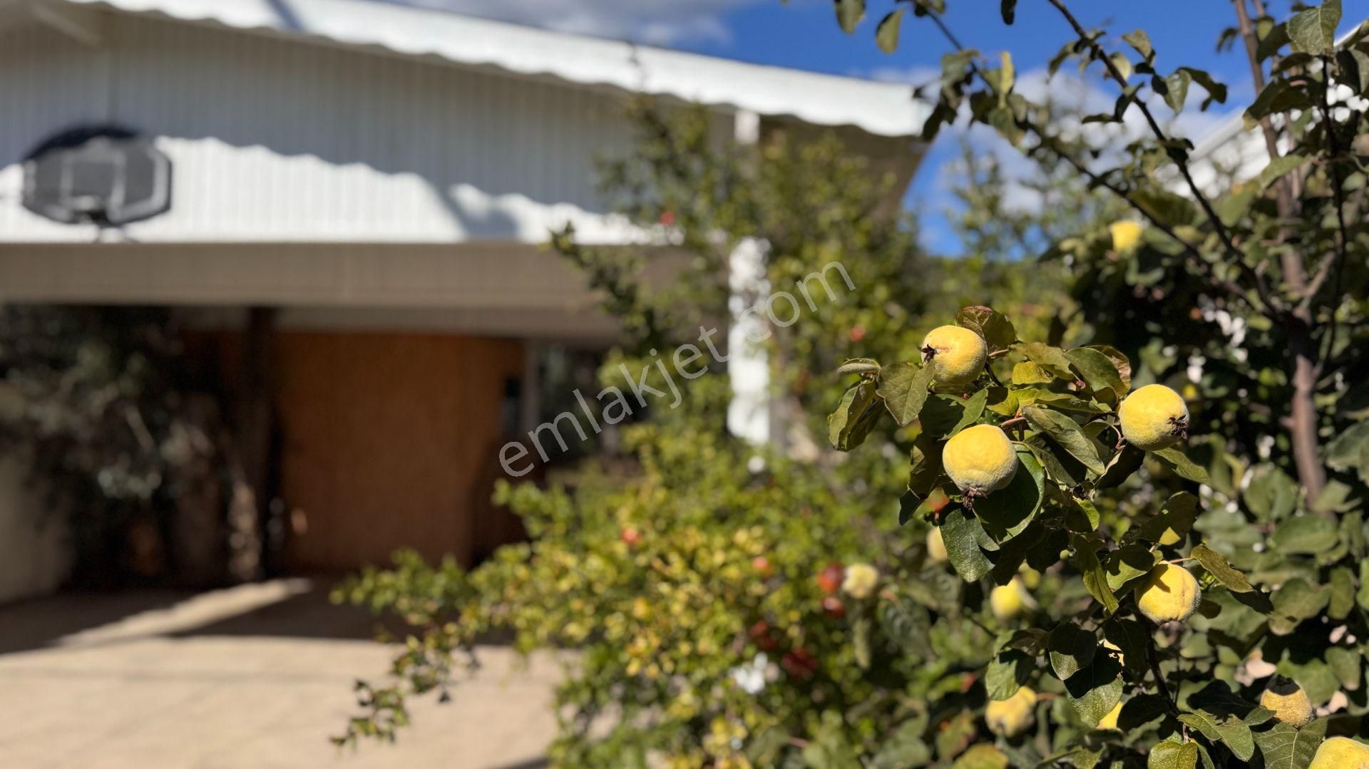 Güre'de Oksijeni Bol Zeytinlik Alan İçerisinde, Kazdağlarının Eteğinde Havuzlu Lüks Villa - Görsel 4