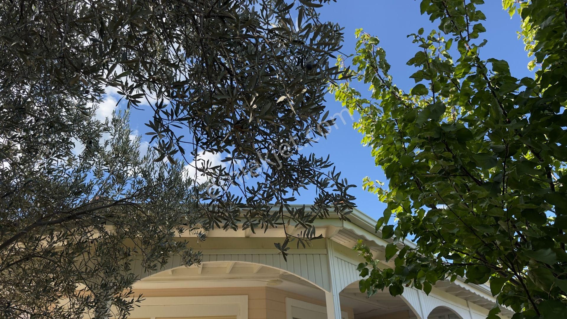 Güre'de Oksijeni Bol Zeytinlik Alan İçerisinde, Kazdağlarının Eteğinde Havuzlu Lüks Villa - Görsel 23