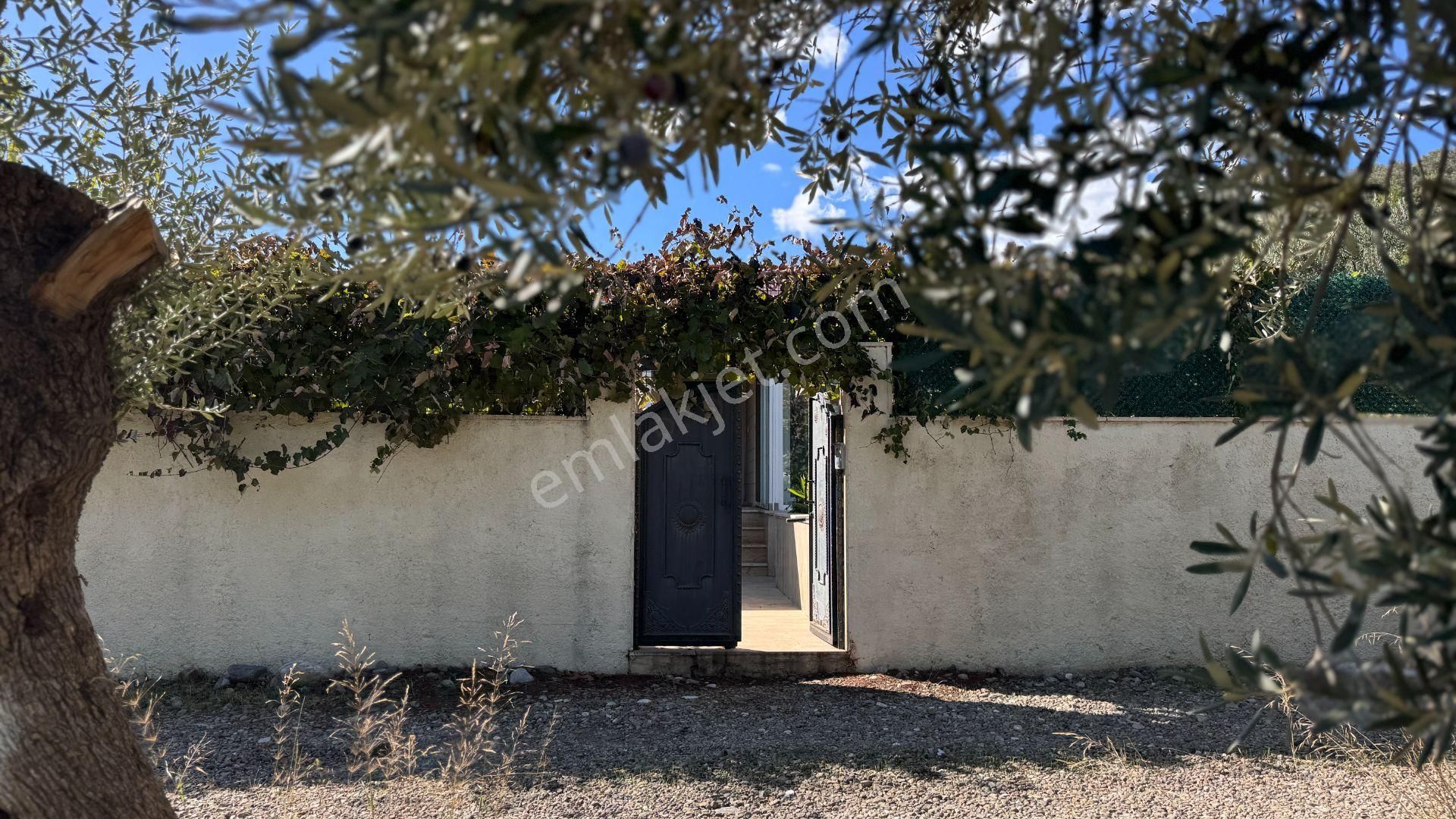 Güre'de Oksijeni Bol Zeytinlik Alan İçerisinde, Kazdağlarının Eteğinde Havuzlu Lüks Villa - Görsel 13