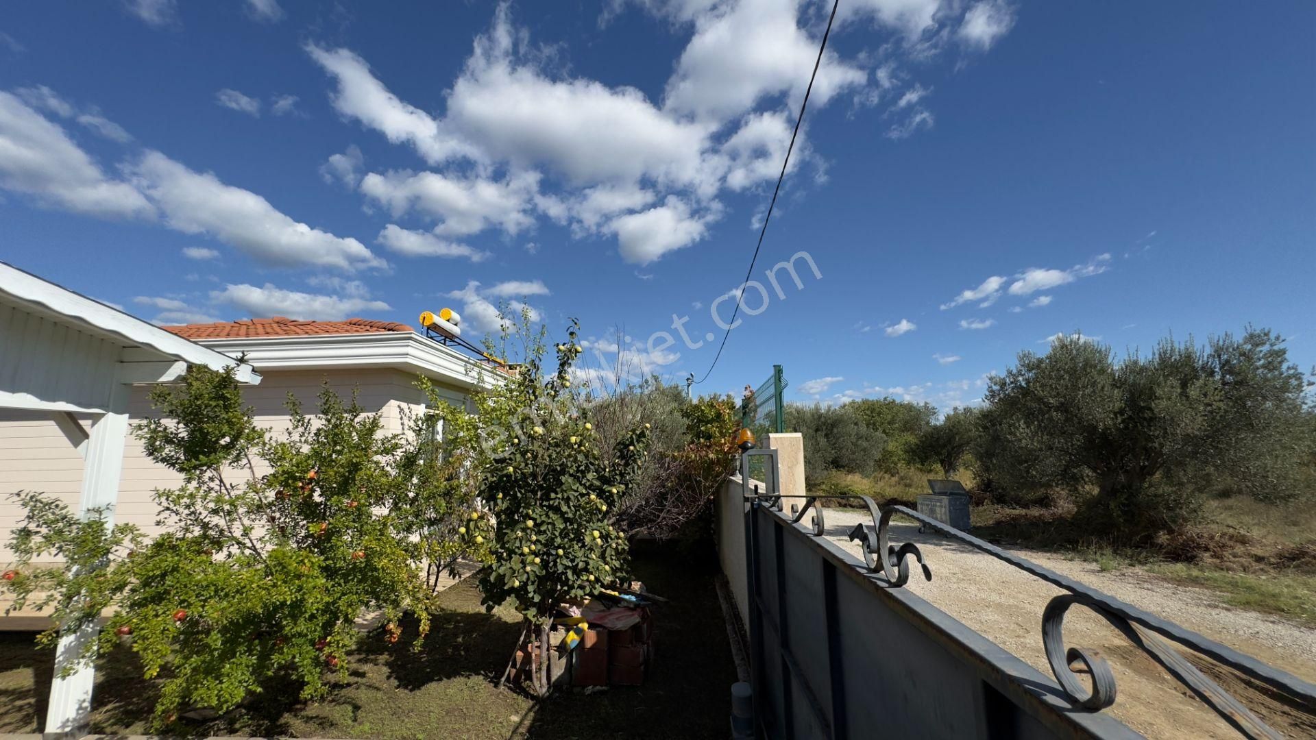 Güre'de Oksijeni Bol Zeytinlik Alan İçerisinde, Kazdağlarının Eteğinde Havuzlu Lüks Villa - Görsel 12