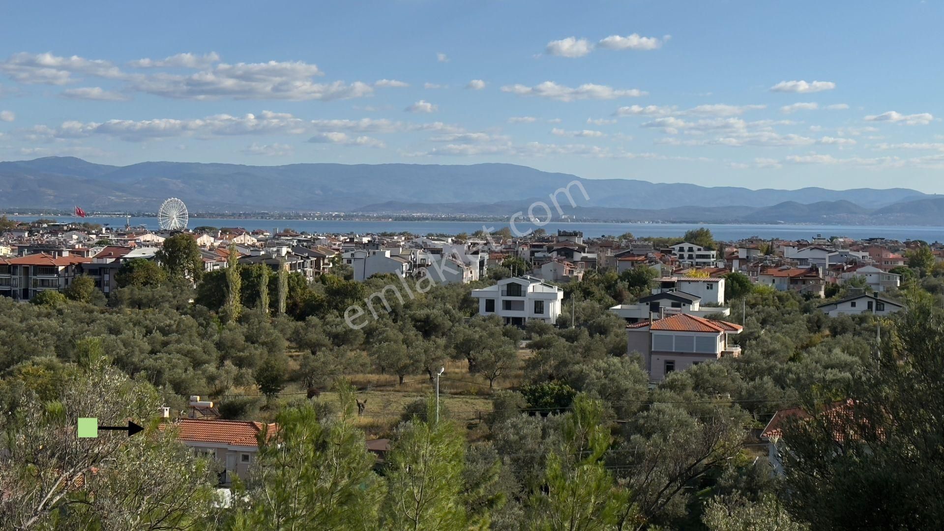 Güre'de Oksijeni Bol Zeytinlik Alan İçerisinde, Kazdağlarının Eteğinde Havuzlu Lüks Villa - Görsel 2