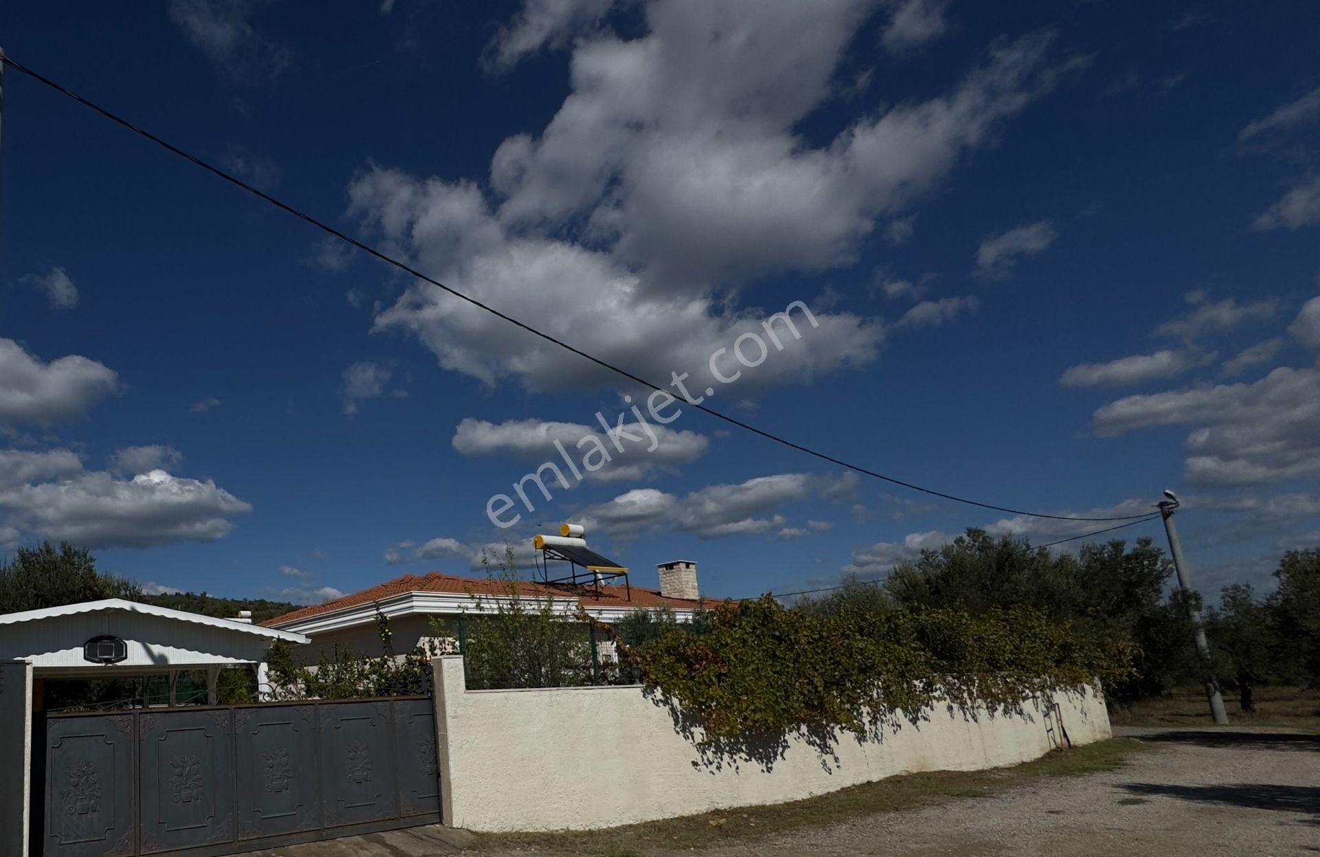 Güre'de Oksijeni Bol Zeytinlik Alan İçerisinde, Kazdağlarının Eteğinde Havuzlu Lüks Villa - Görsel 7