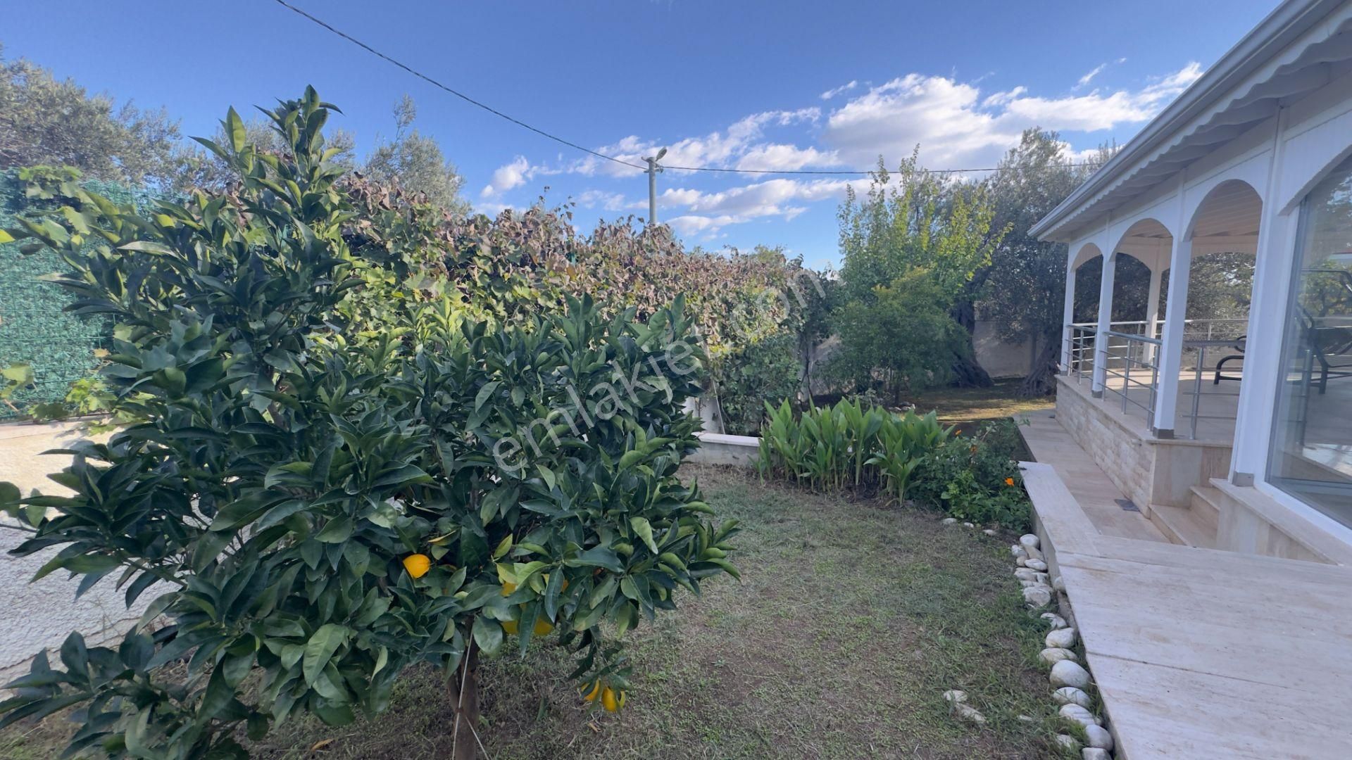 Güre'de Oksijeni Bol Zeytinlik Alan İçerisinde, Kazdağlarının Eteğinde Havuzlu Lüks Villa - Görsel 61