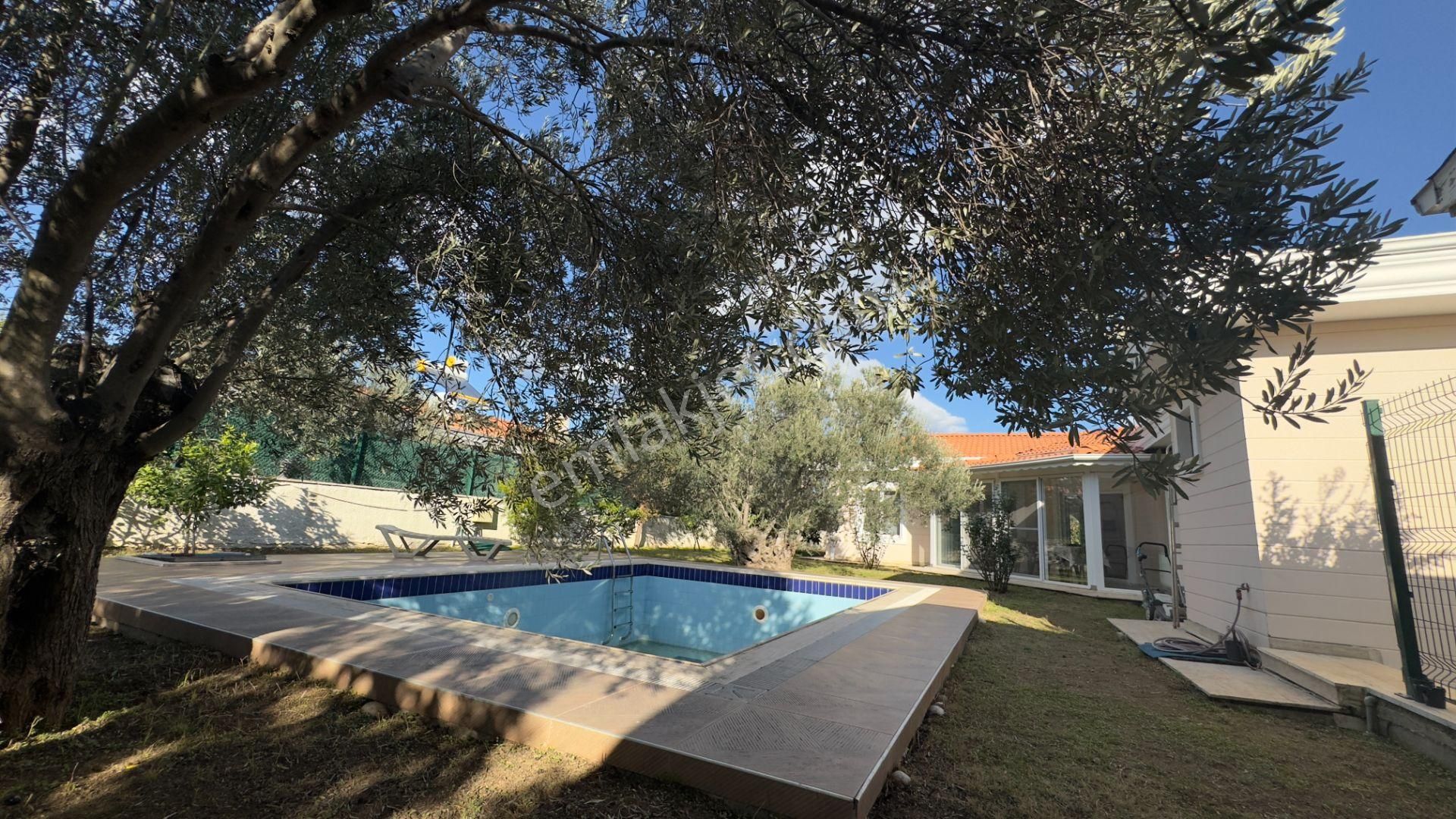 Güre'de Oksijeni Bol Zeytinlik Alan İçerisinde, Kazdağlarının Eteğinde Havuzlu Lüks Villa - Görsel 32