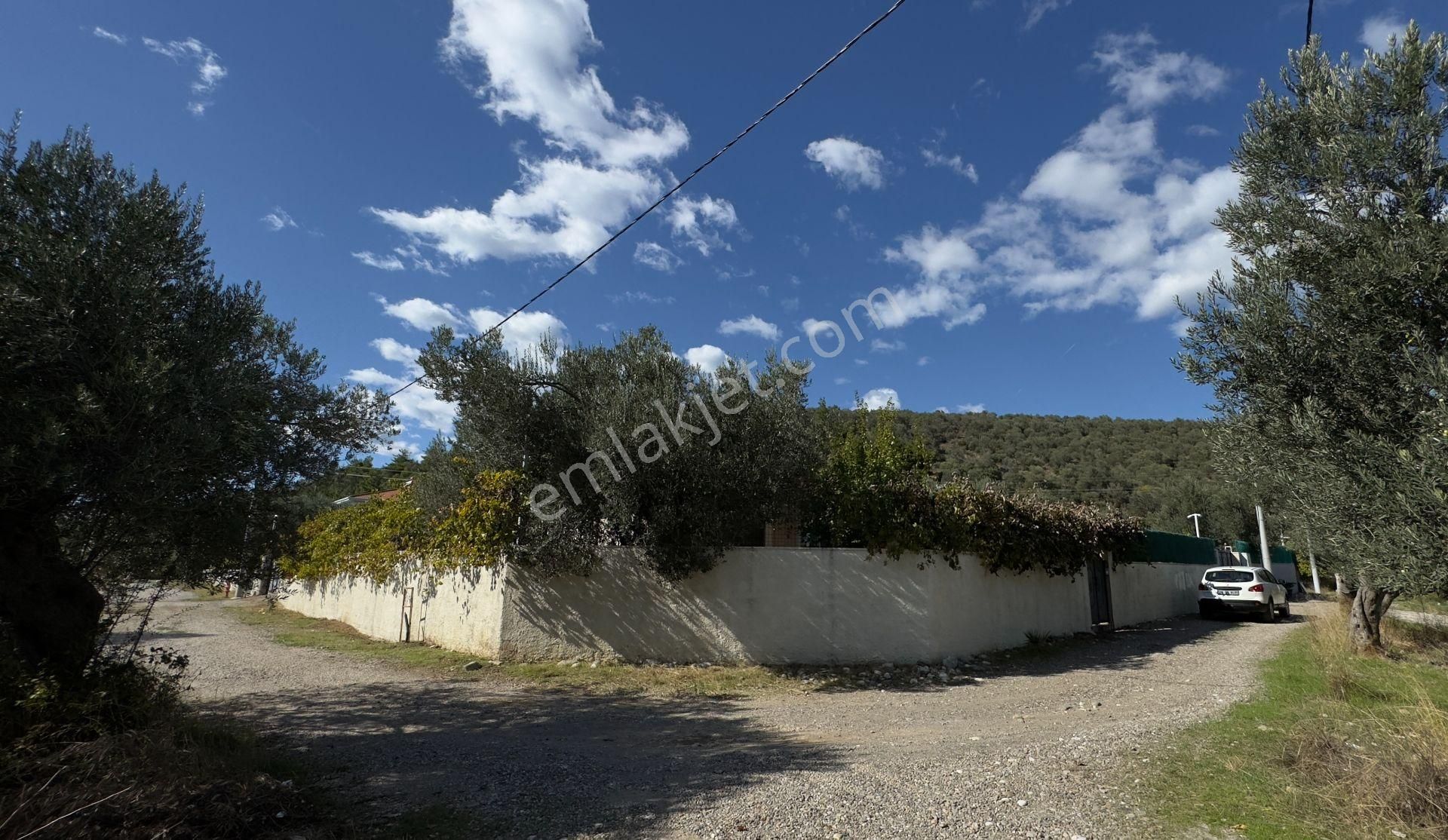 Güre'de Oksijeni Bol Zeytinlik Alan İçerisinde, Kazdağlarının Eteğinde Havuzlu Lüks Villa - Görsel 9
