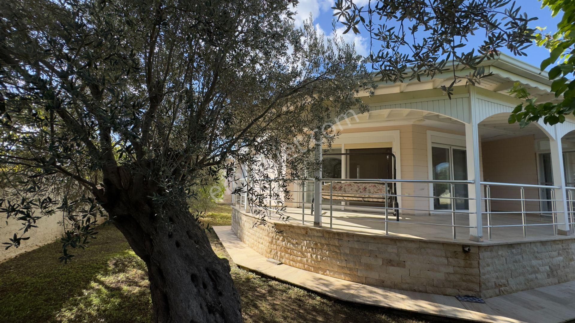 Güre'de Oksijeni Bol Zeytinlik Alan İçerisinde, Kazdağlarının Eteğinde Havuzlu Lüks Villa - Görsel 22