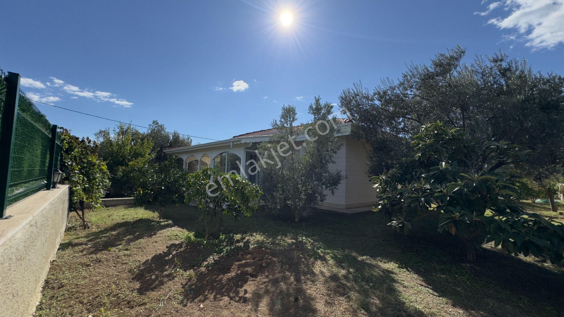 Güre'de Oksijeni Bol Zeytinlik Alan İçerisinde, Kazdağlarının Eteğinde Havuzlu Lüks Villa - Görsel 6