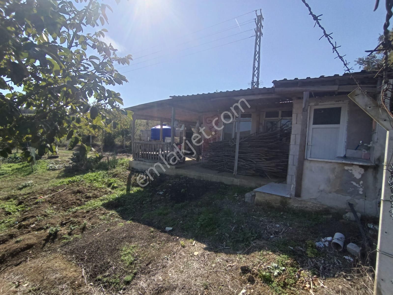 Samsun Kavak Mahmutlu'da Satılık Tek Tapu Tarla