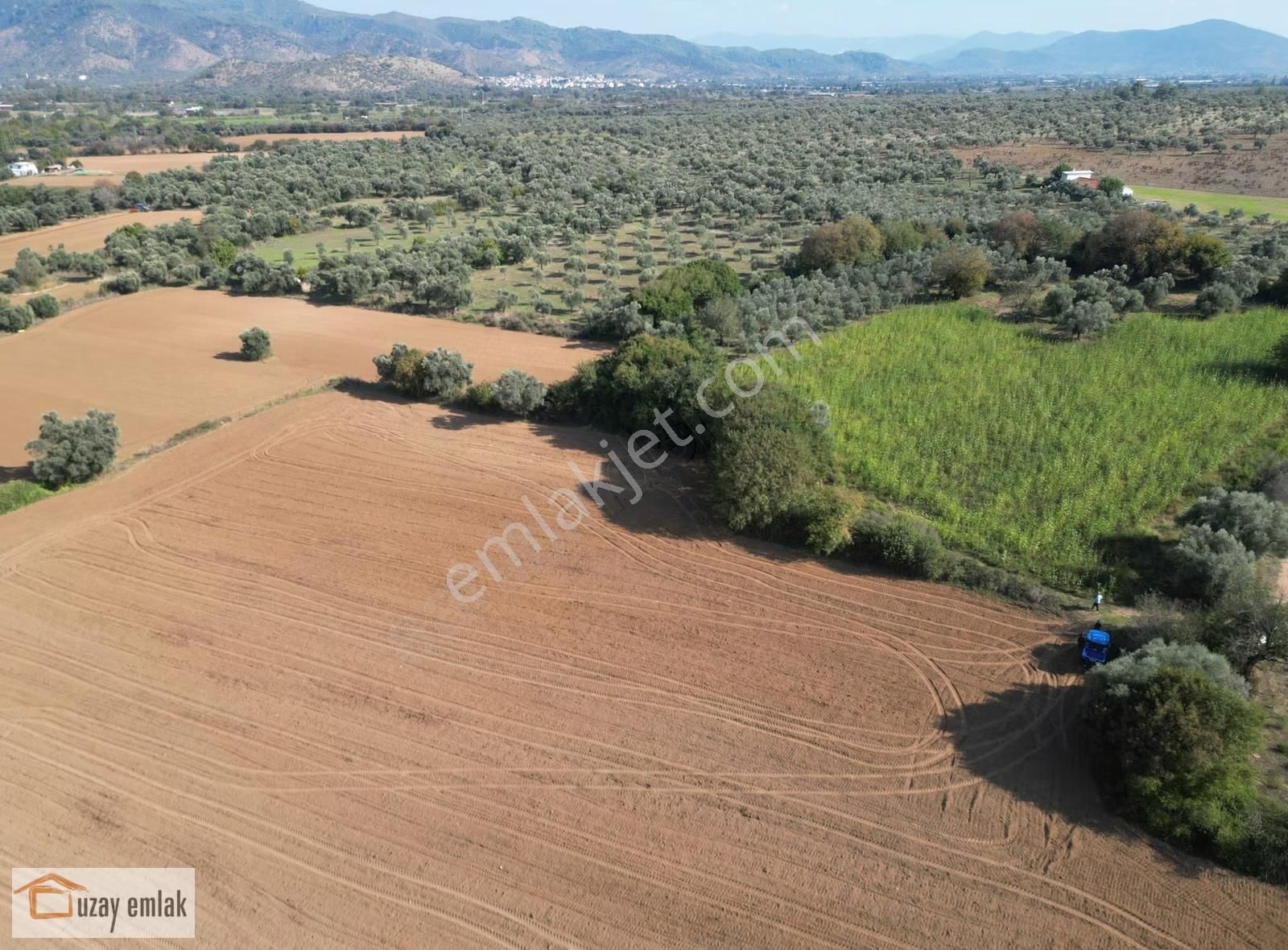 Milas Kurudere'de Satılık 5000 M2 Tarla - Görsel 5