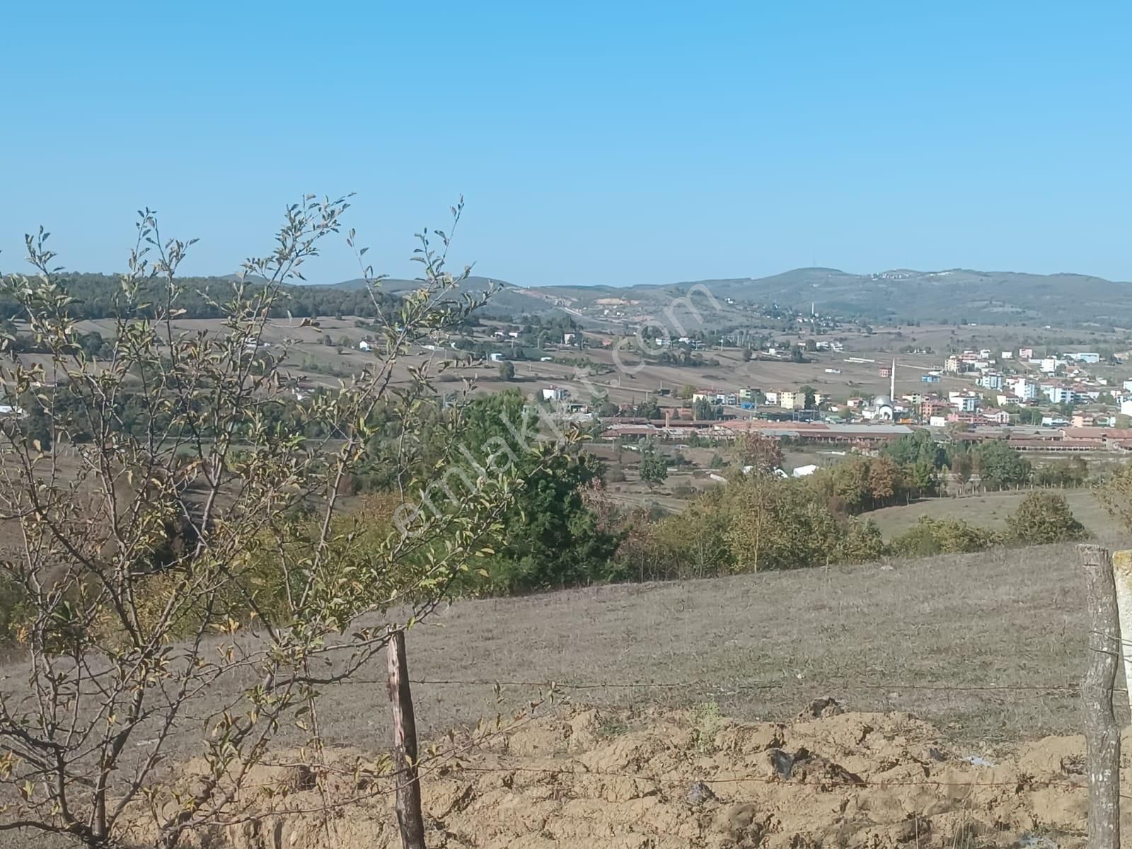 Samsun Kavak Muratbeyli'de Satılık Tek Tapu Tarla - Görsel 11