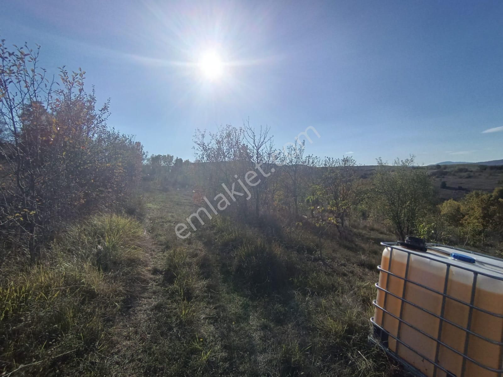 Samsun Kavak Muratbeyli'de Satılık Tek Tapu Tarla - Görsel 5