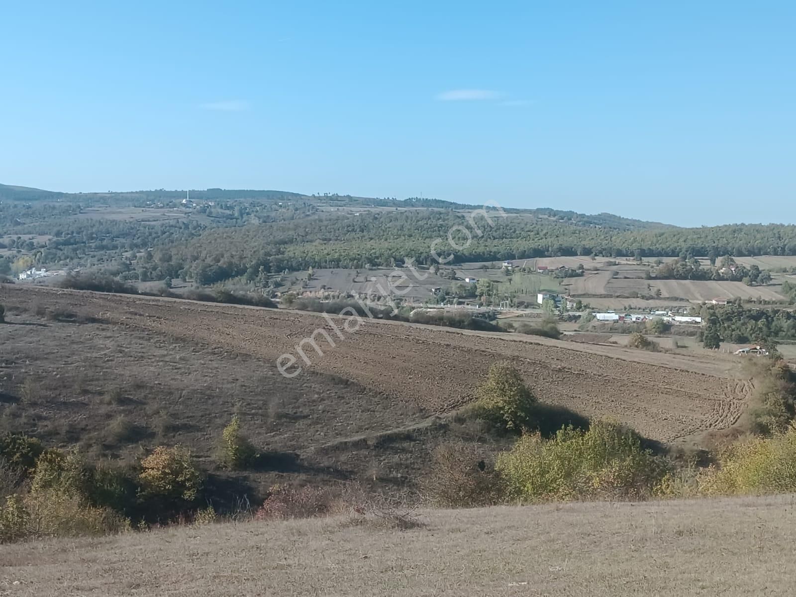 Samsun Kavak Muratbeyli'de Satılık Tek Tapu Tarla - Görsel 14