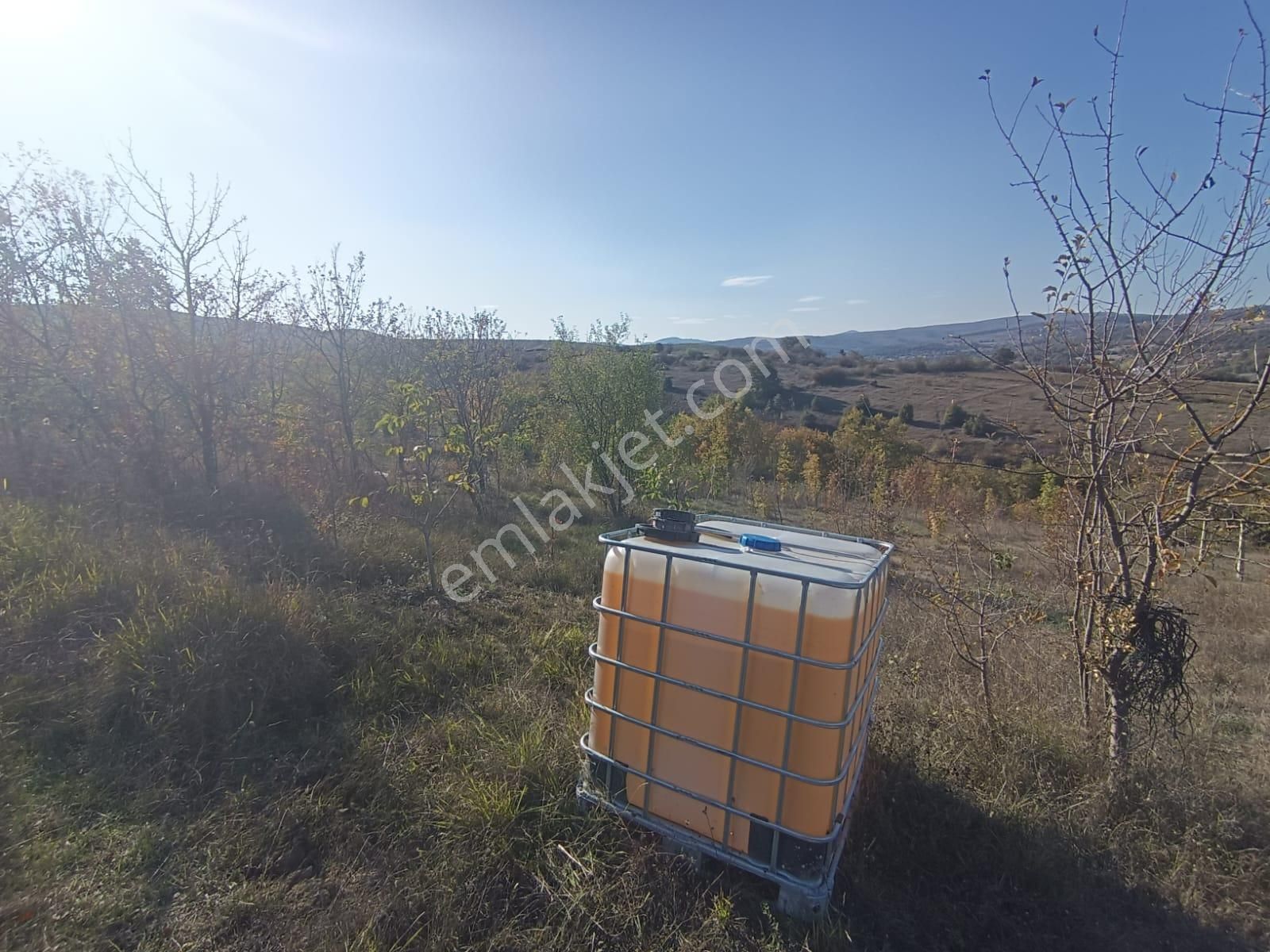 Samsun Kavak Muratbeyli'de Satılık Tek Tapu Tarla - Görsel 8