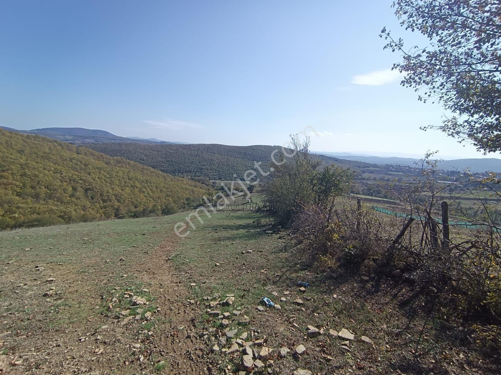Samsun Kavak Karaaslan'da Satılık Tek Tapu Tarla - Görsel 3