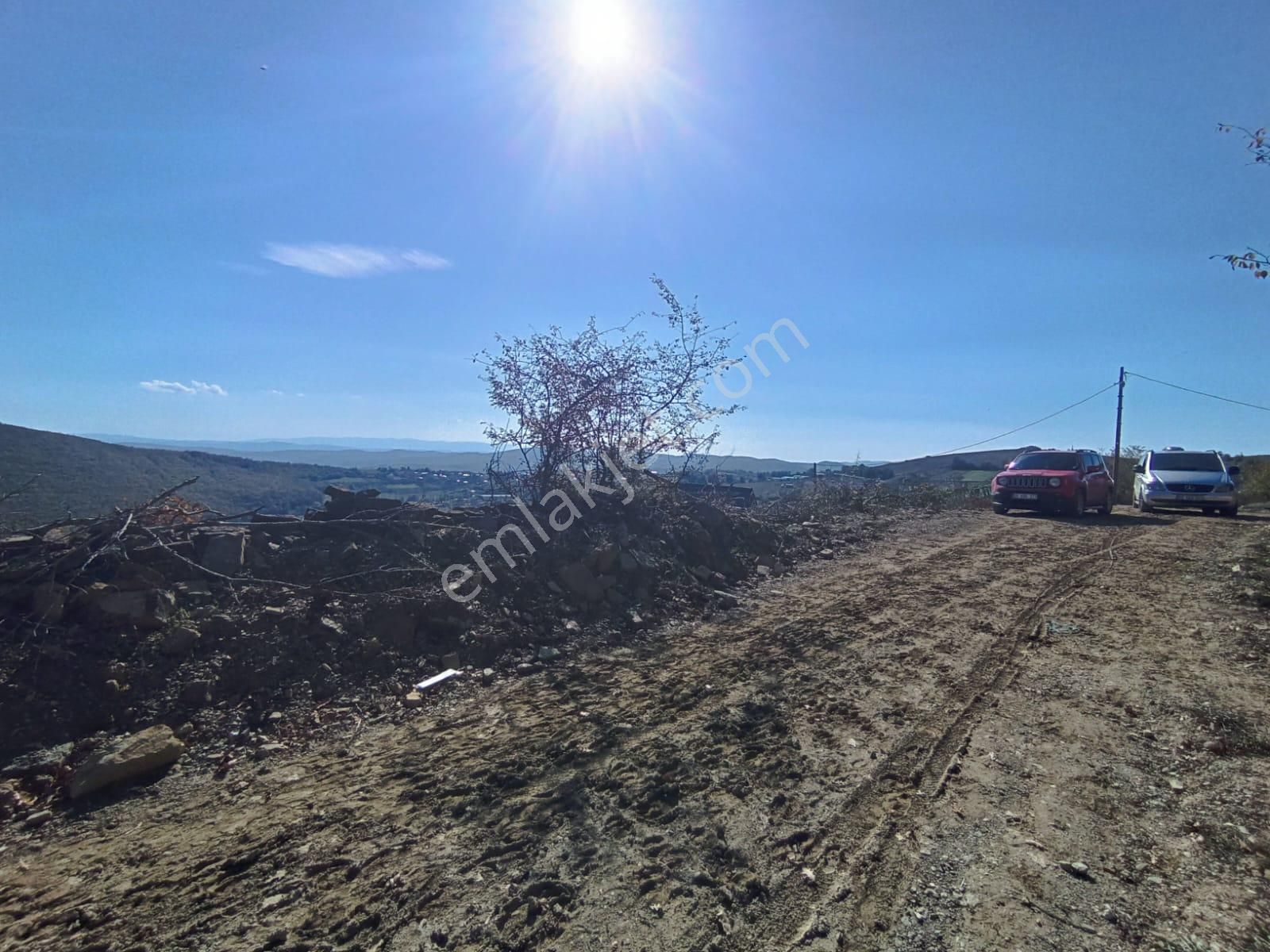 Samsun Kavak Karaaslan'da Satılık Tek Tapu Tarla - Görsel 7