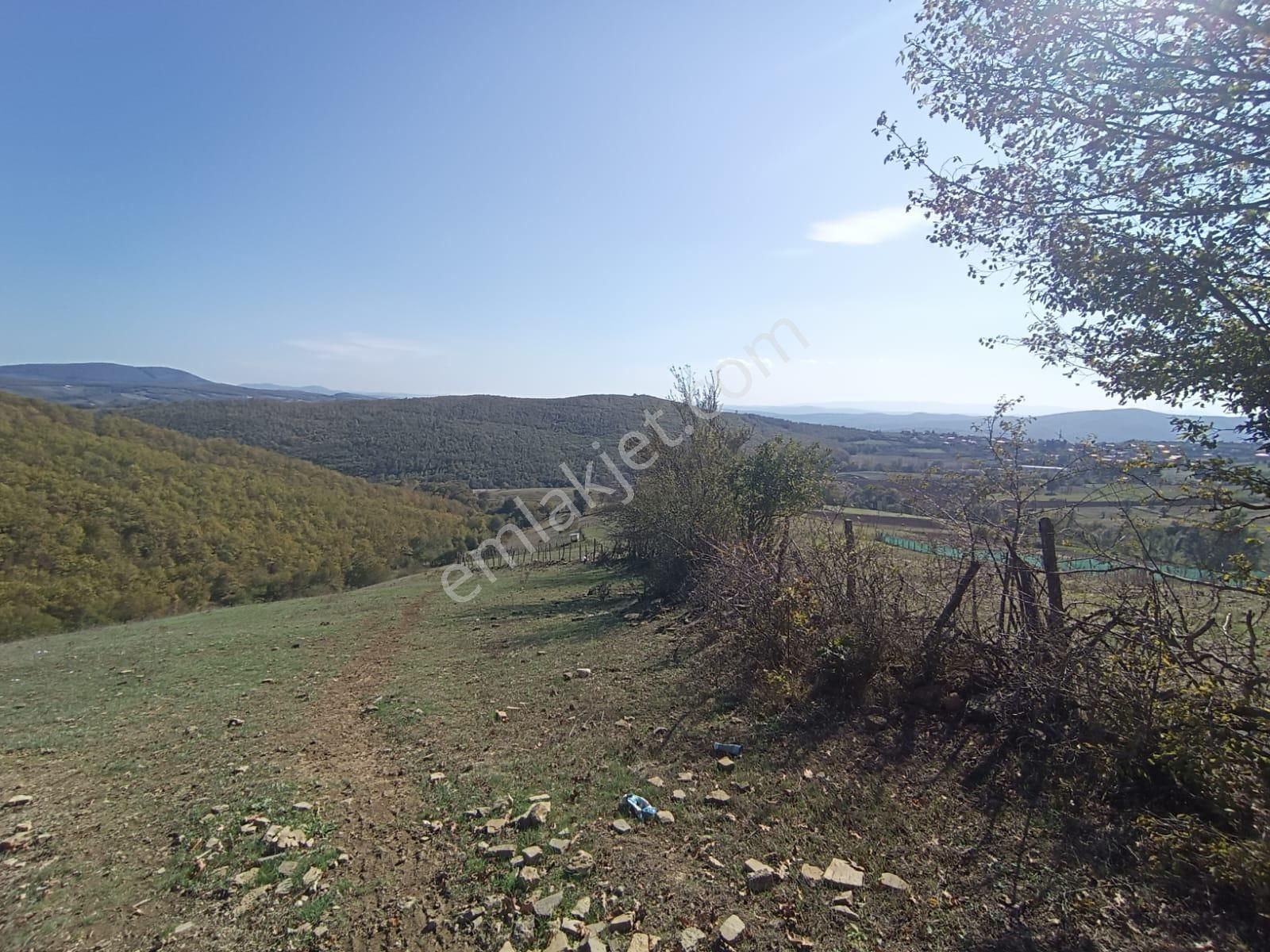 Samsun Kavak Karaaslan'da Satılık Tek Tapu Tarla - Görsel 9