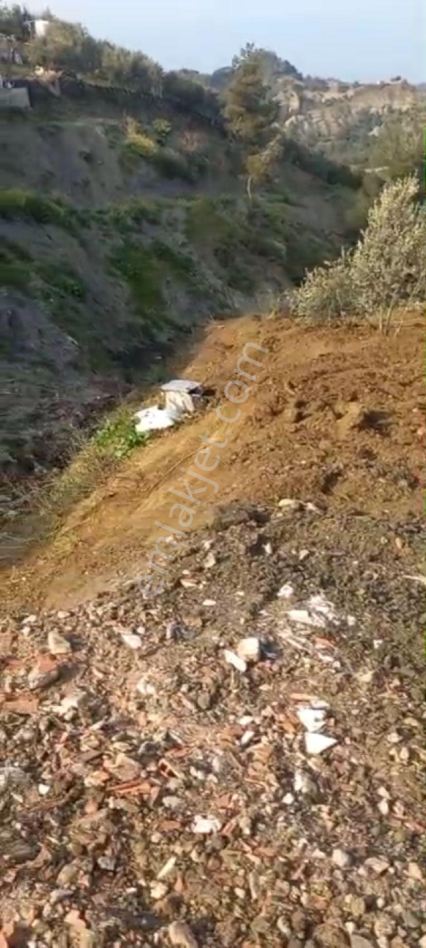 Bahçecik Mah.pamuktarla Mah.699 M2 Hisse - Görsel 10