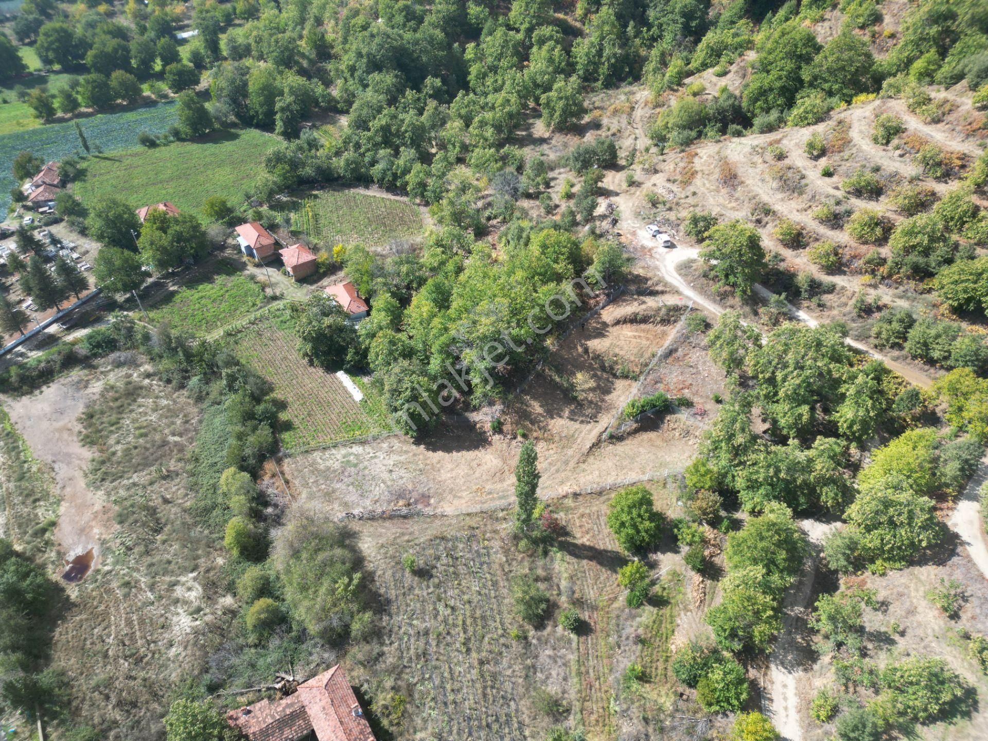 Antika Gayrimenkul'den Tekke'de Konut İmarlı Satılık Arsa - Görsel 11