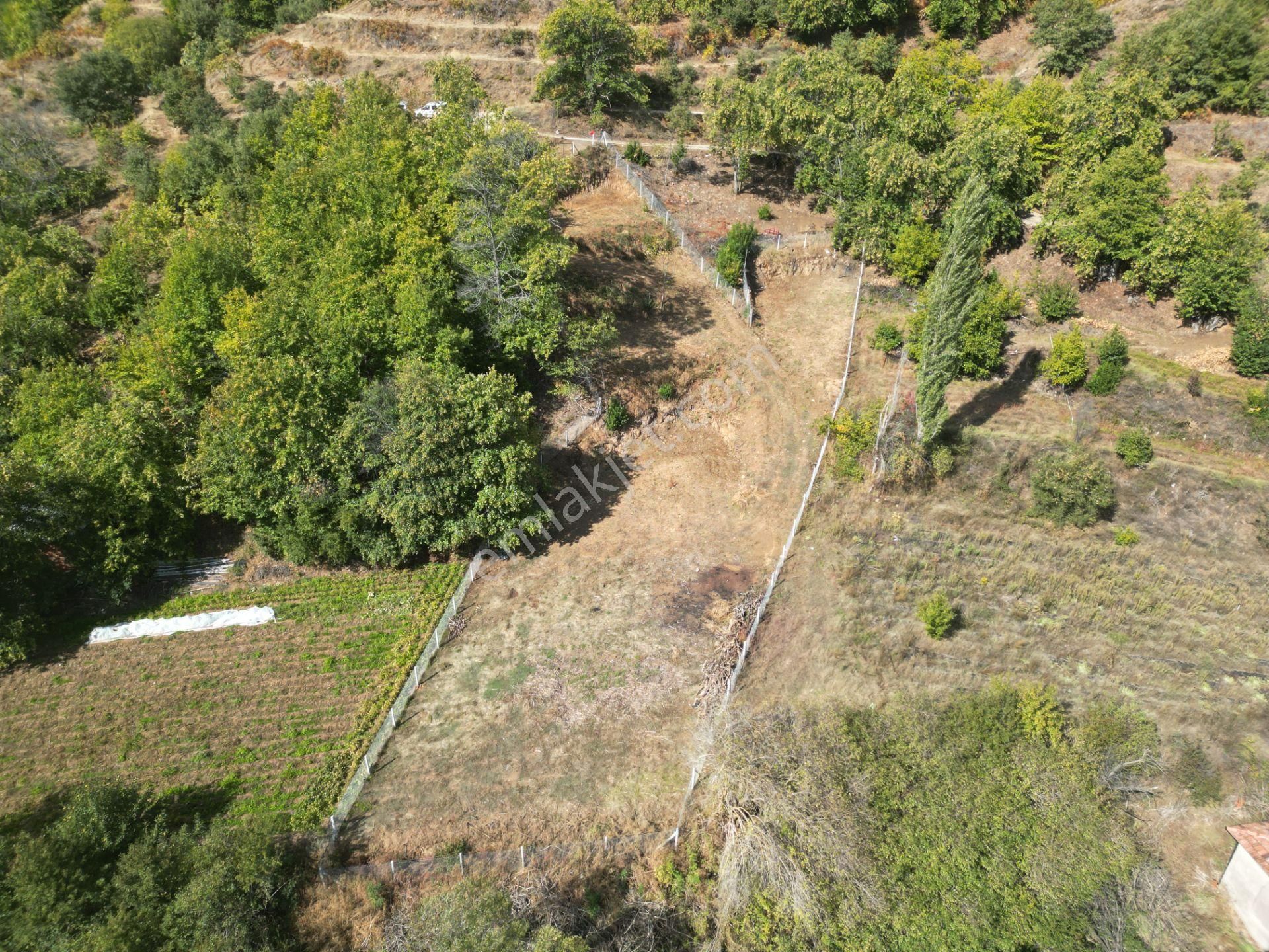 Antika Gayrimenkul'den Tekke'de Konut İmarlı Satılık Arsa - Görsel 2