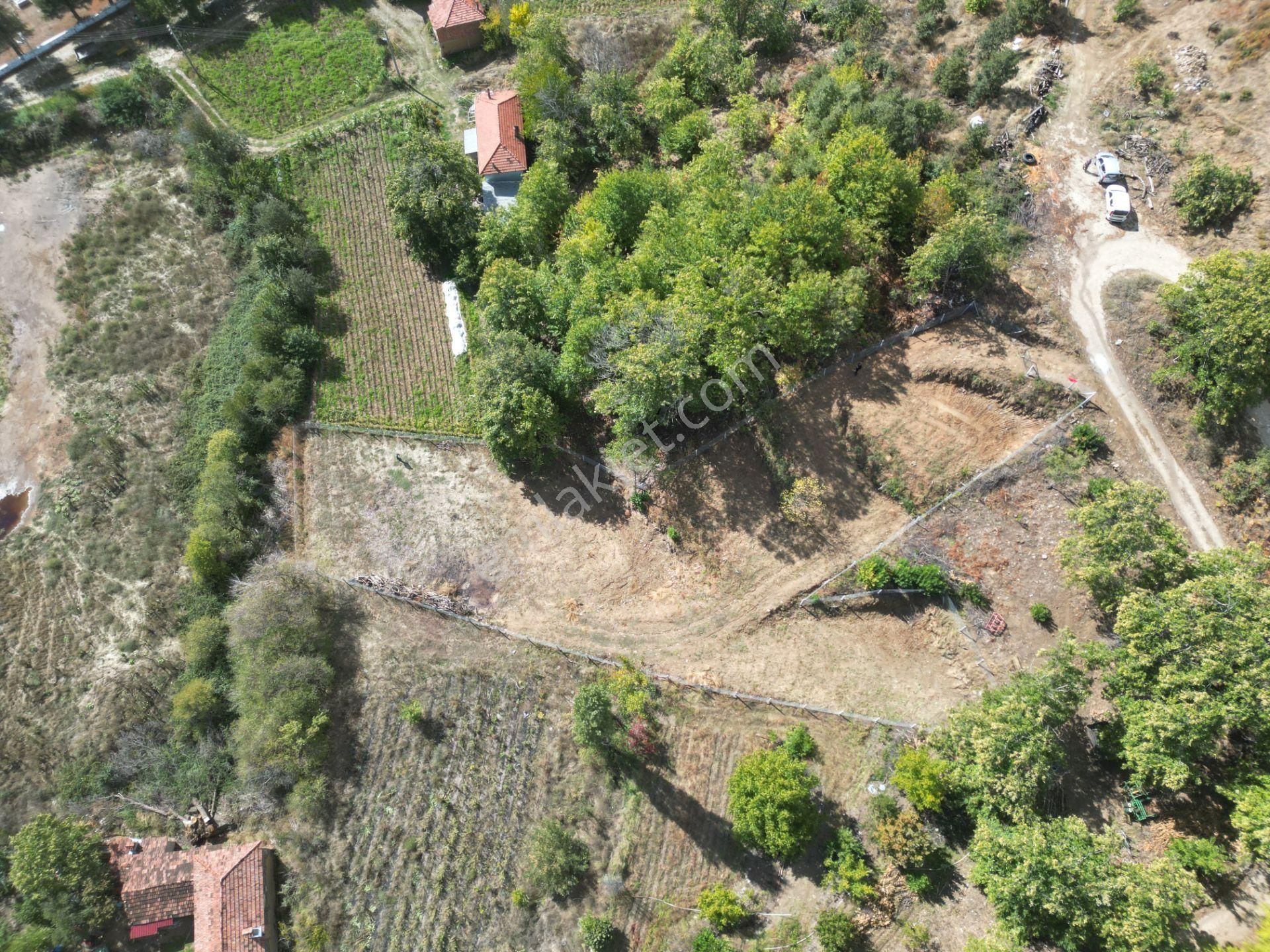 Antika Gayrimenkul'den Tekke'de Konut İmarlı Satılık Arsa - Görsel 5