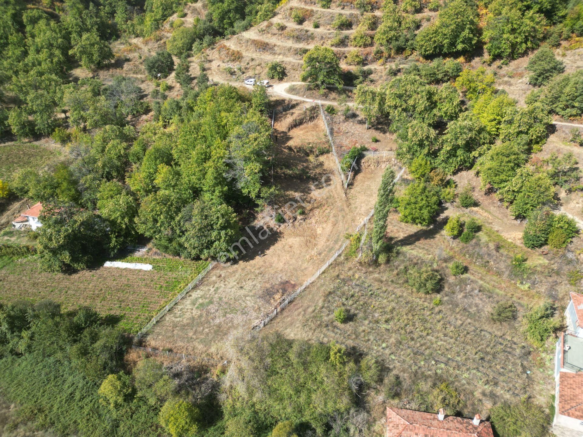 Antika Gayrimenkul'den Tekke'de Konut İmarlı Satılık Arsa - Görsel 7