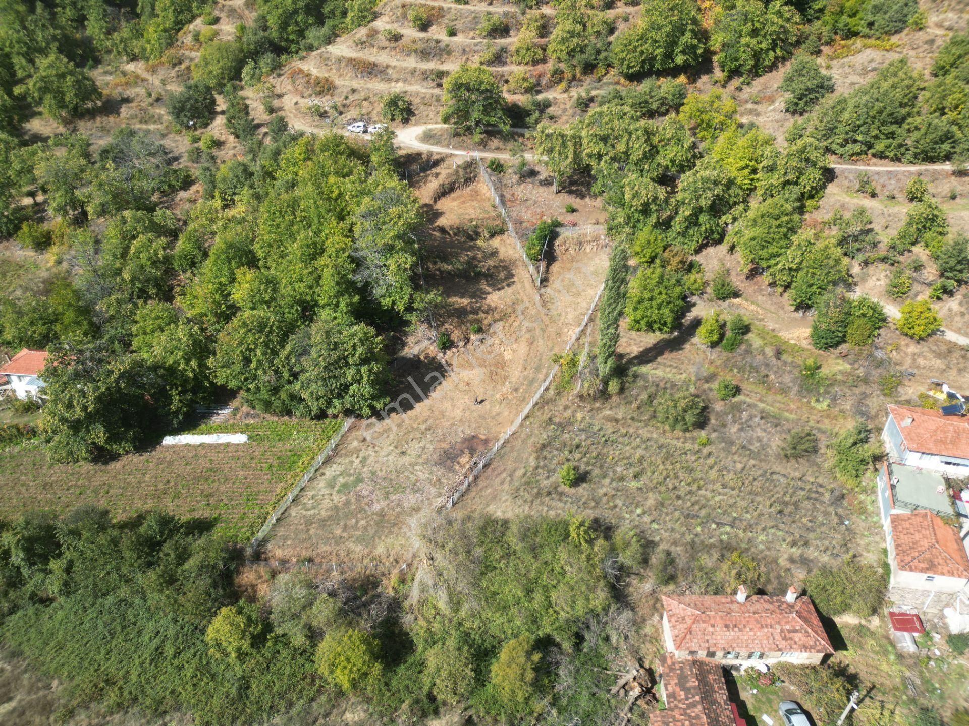Antika Gayrimenkul'den Tekke'de Konut İmarlı Satılık Arsa - Görsel 8