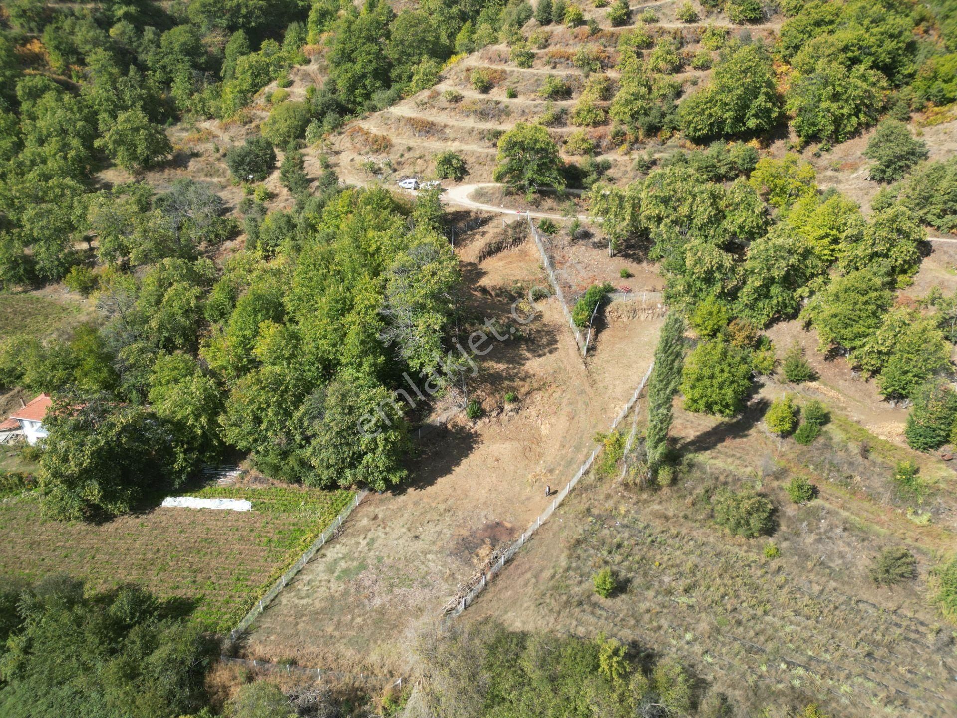 Antika Gayrimenkul'den Tekke'de Konut İmarlı Satılık Arsa - Görsel 3
